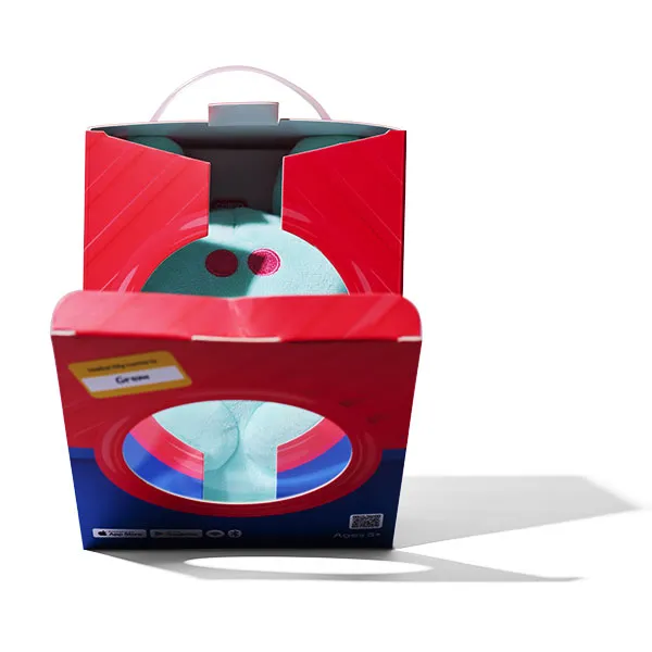 Clipping Path Service Image